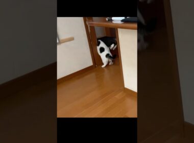 昨日のパニックを見て思い出したこと