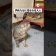実家で生まれた子猫達に唸られる｜PECO