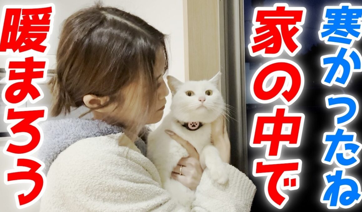 寒い夜…庭子猫が「お家に入れて」と必死に訴えてきました！【三毛母猫の子猫】
