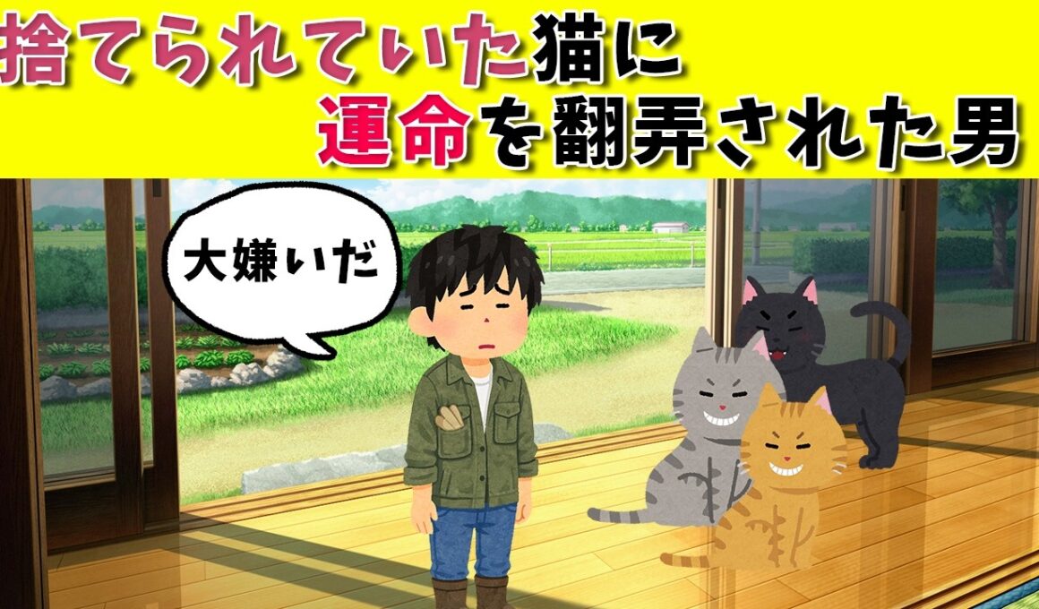 猫なんて大嫌いだ　#保護猫 #子猫 #猫との暮らし