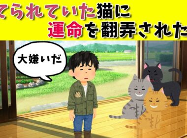 猫なんて大嫌いだ　#保護猫 #子猫 #猫との暮らし