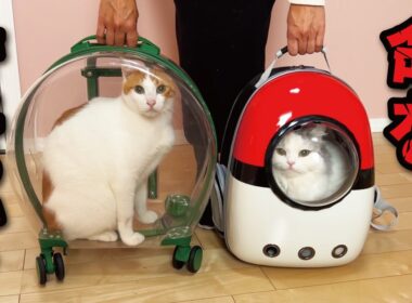 災害発生時に備えます