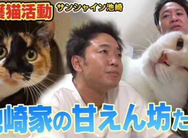 【サンシャイン池崎】甘えん坊の保護猫ブルボンと雷ちゃんが猫おじさんにべったりでした