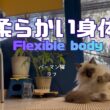 バーマン猫ラフ【柔らかい身体】Flexible body（バーマン猫ラフ）Birman/Cat