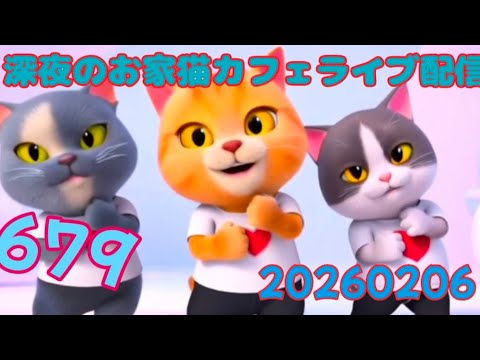 深夜のお家猫カフェライブ配信 ６７９