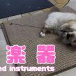 バーマン猫ラフ【弦楽器】Stringed instruments（バーマン猫）Birman/Cat