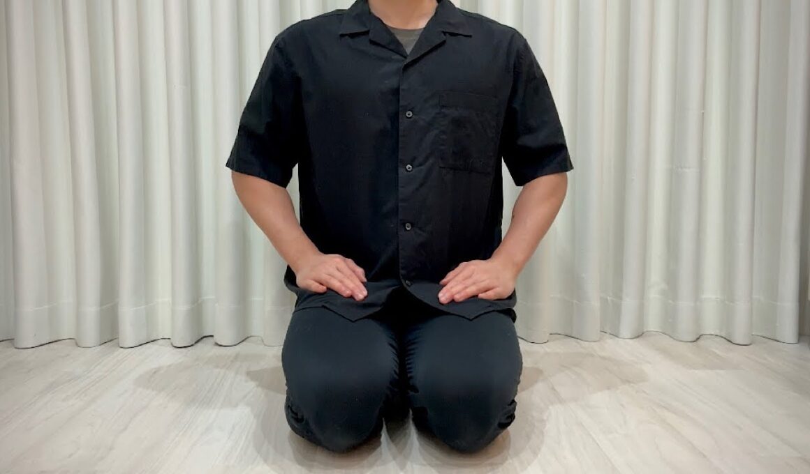 TNR予定だった子猫たちについて。