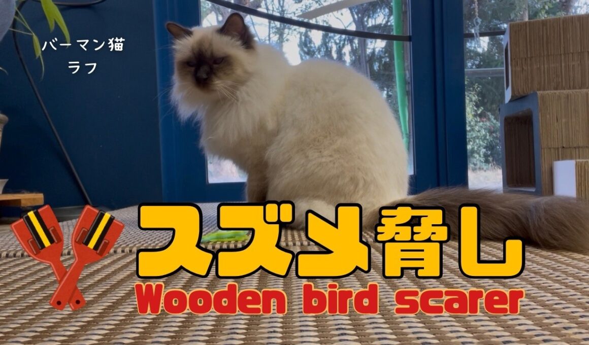 バーマン猫ラフ【スズメ脅し】Wooden bird scarer（バーマン猫）Birman/Cat