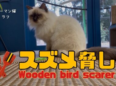 バーマン猫ラフ【スズメ脅し】Wooden bird scarer（バーマン猫）Birman/Cat