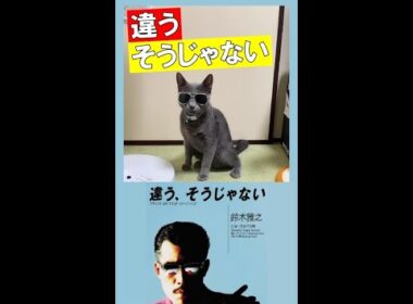 違う、そうじゃない(ロイぽん版)  #Shorts