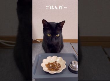 空っぽのお皿にご不満〜の顔