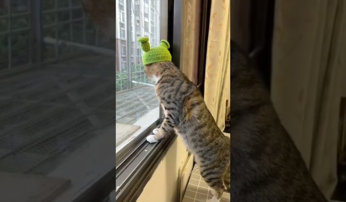 Selamat hari Minggu #shorts