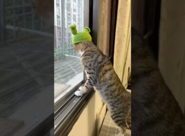 Selamat hari Minggu #shorts