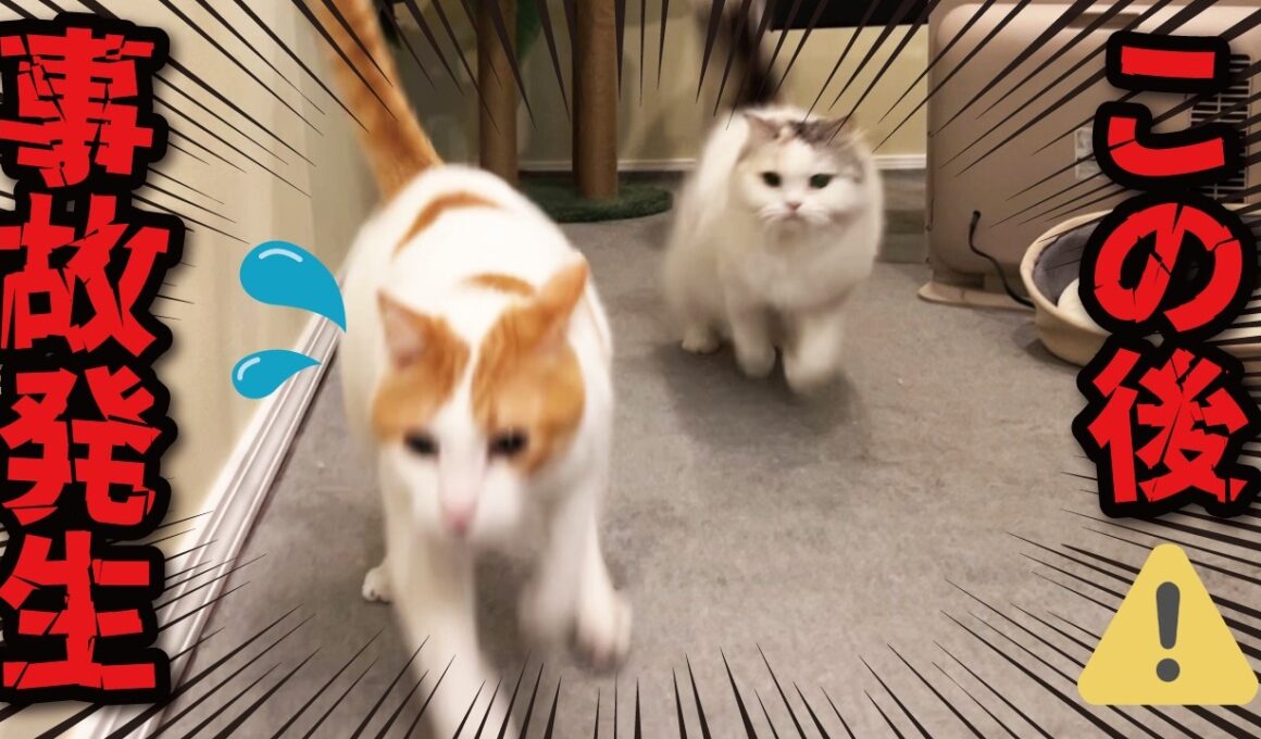 この後、師匠に大変なことが起きました…！💦💦💦