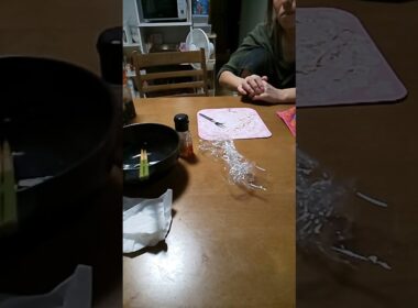 あれ？いないと思ったら…🐈️