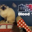 バーマン猫ウリ【血液型】Blood type（バーマン猫）Birman/Cat