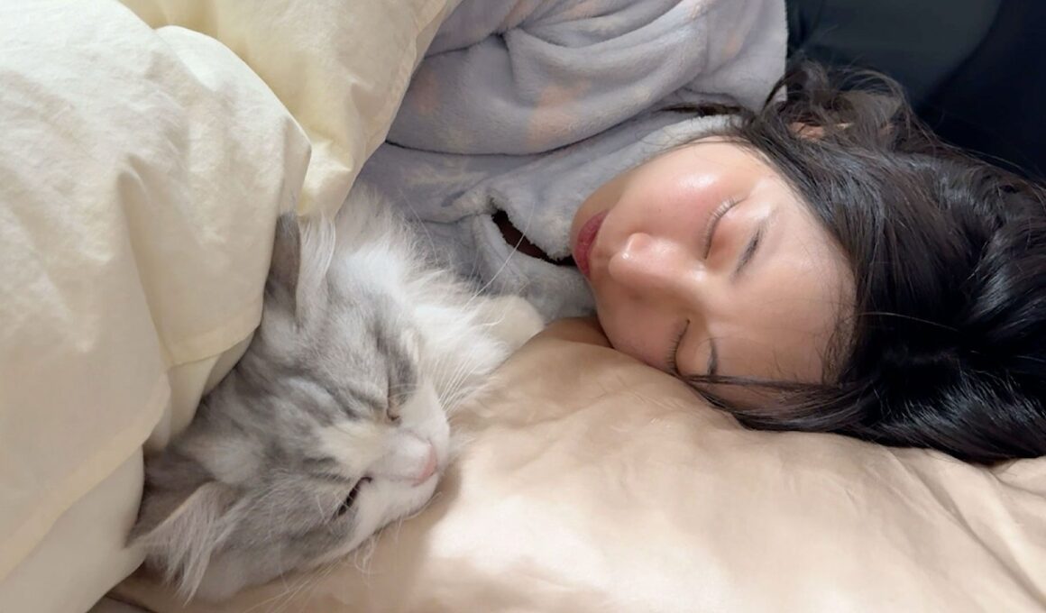 深夜2時に添い寝で温めてくれる子猫が可愛すぎる…w