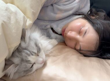 深夜2時に添い寝で温めてくれる子猫が可愛すぎる…w