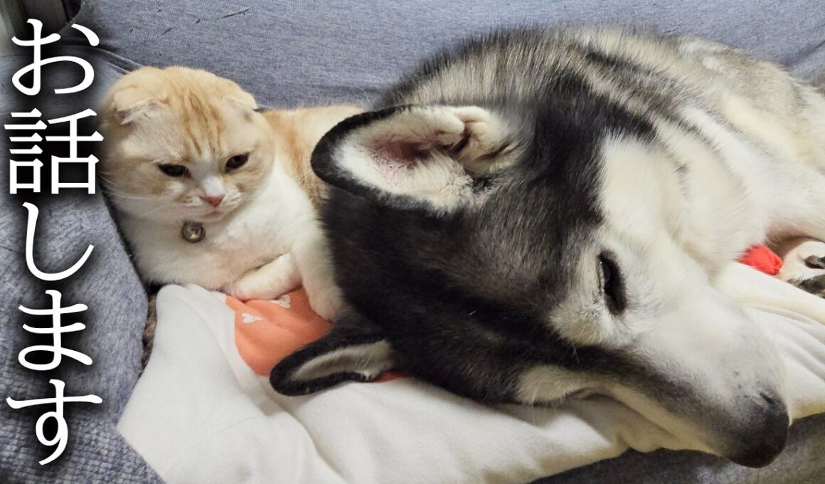 身体に異変を発見しました...