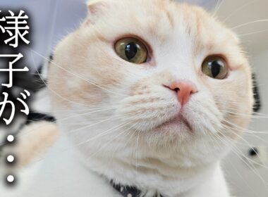 普段と様子が違います...