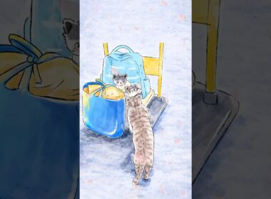 母猫が子猫たちの新しい家への旅立ちを見送った感動の瞬間