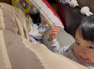 布団をかけられて眠る猫　ラガマフィンA cat sleeping under a blanket. Ragamuffin