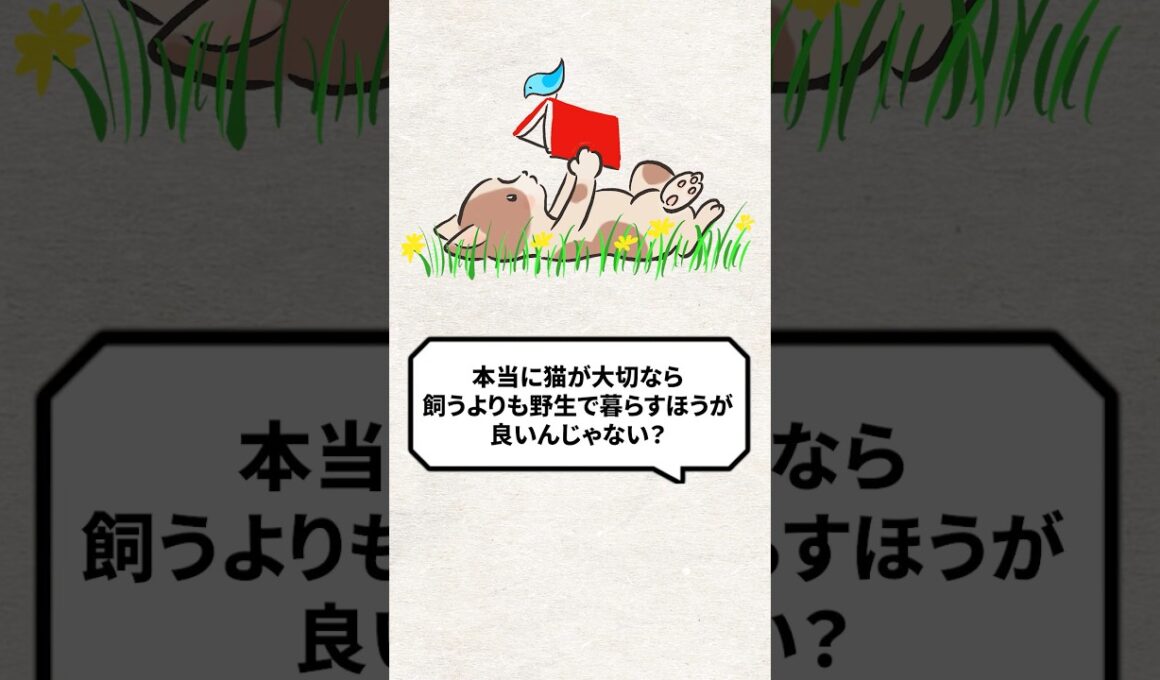 Q：本当に猫が大切なら野生で暮らす方が良い？ #猫 #野良猫 #保護猫