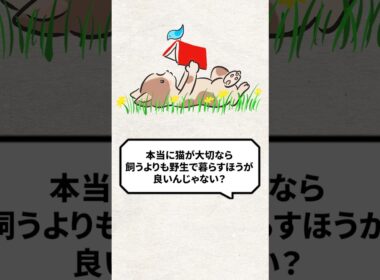 Q：本当に猫が大切なら野生で暮らす方が良い？ #猫 #野良猫 #保護猫