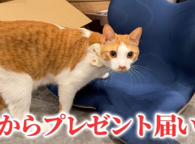 親からとんでもない誕生日プレゼントが届きました。