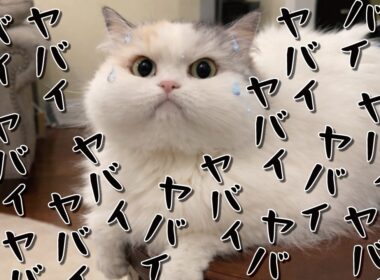 つくしがリビングでとんでもない事をやらかしてました…