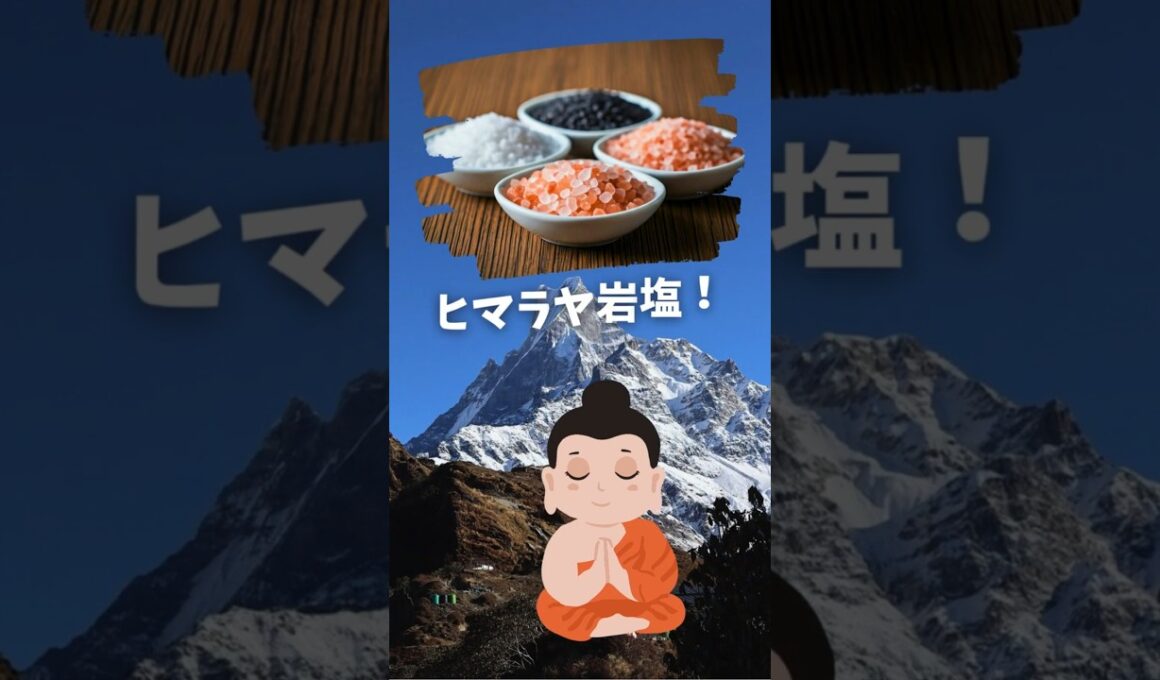 【ヒマラヤ岩塩】塩選びで食卓が変わる！4タイプで楽しむ新しい調味料✨