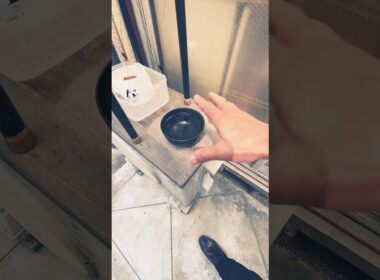 ゴメンねネコ、、お掃除したまま忘れてたよ