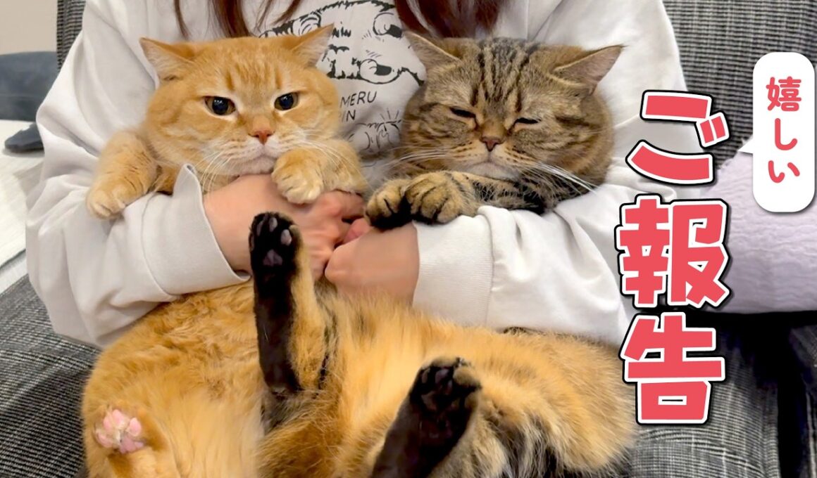 カラメルプリン一家から大切なご報告があります