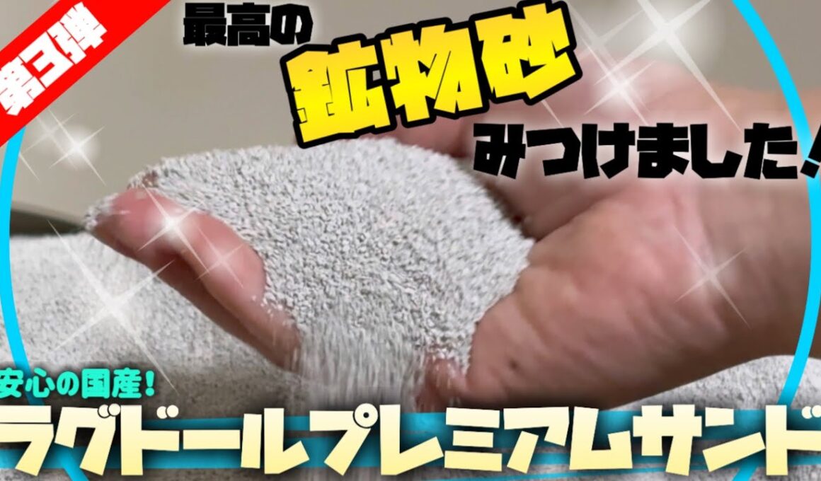 【鉱物砂の最高峰】キャッサバ派も揺らぐ猫達の喜びっぷり！お世辞一切無しのレビュー！