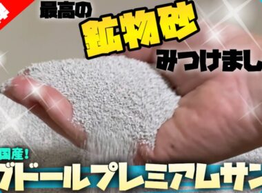 【鉱物砂の最高峰】キャッサバ派も揺らぐ猫達の喜びっぷり！お世辞一切無しのレビュー！