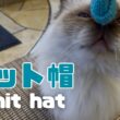 バーマン猫ラフ【ニット帽】Knit hat（バーマン猫）Birman/Cat