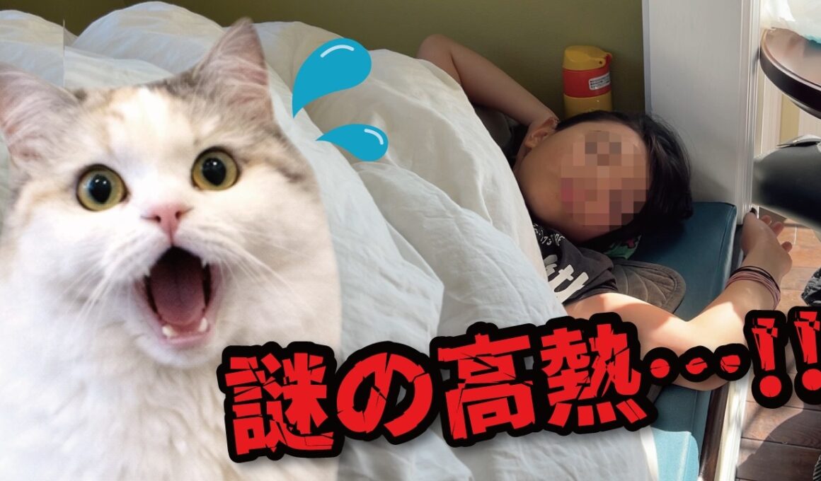 ミニ奥さんが40度の高熱でダウンしました…！💦