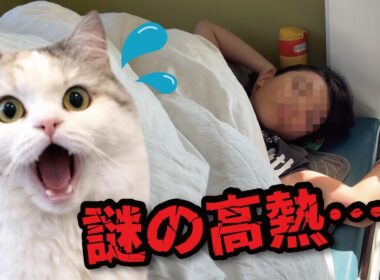 ミニ奥さんが40度の高熱でダウンしました…！💦
