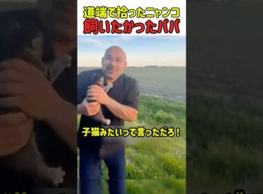 道端で拾ったニャンコ、飼いたかったパパ！　#猫 #ねこ #猫動画 #ネコのいる暮らし #ねこ好きさんと繋がりたい #カワイイ #子猫 保護猫 #shorts