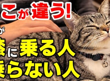 実は理由があった…猫が膝に乗る人と絶対乗らない人の5つの決定的な違い