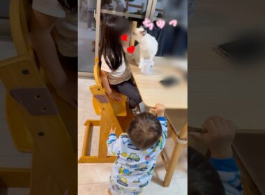 姉たんと僕の対応が違うじょ👶🏻‼️ #1歳 #baby #保護猫  #ラグドール