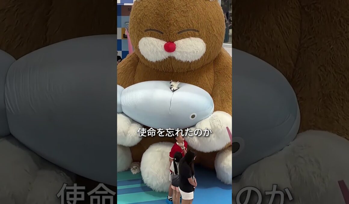 子猫が巨大なテディベアと出会いました🧸🐱#shorts