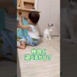 子猫と赤ちゃんのヒヤヒヤシーン😱💦 #保護猫 #ラグドール #1歳  #baby
