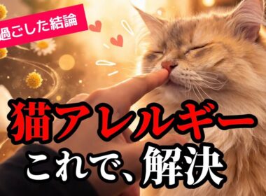サイベリアンは猫アレルギーでも飼える？クラス3の私が3年間暮らした結果