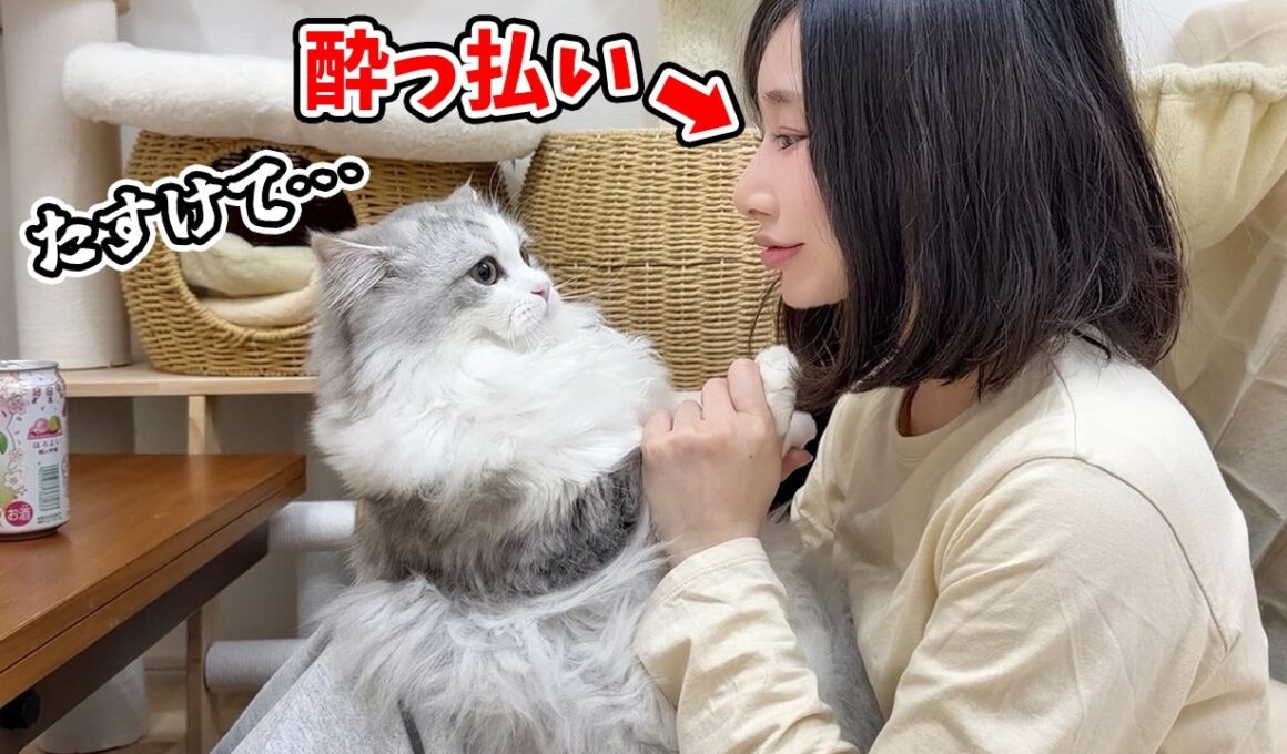 酔っ払いのママにされるがままにされた子猫がこちら…涙