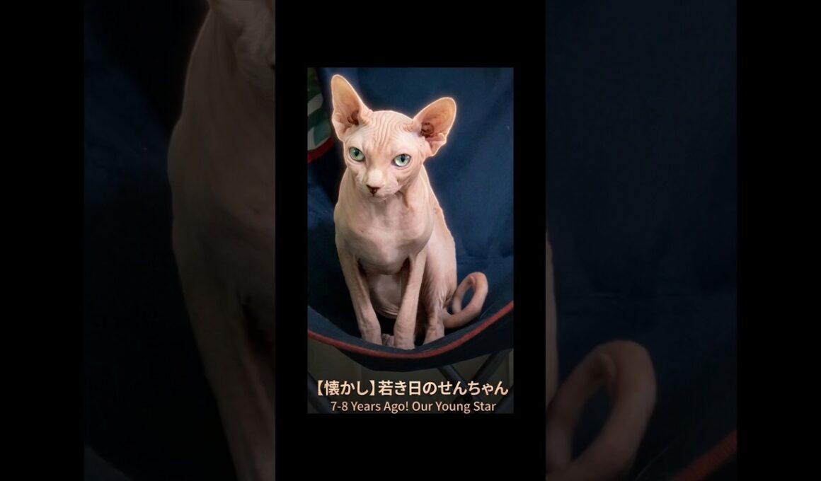 ​【秘蔵】7年前のせんちゃん。今とは違う（？）若かりし頃の姿