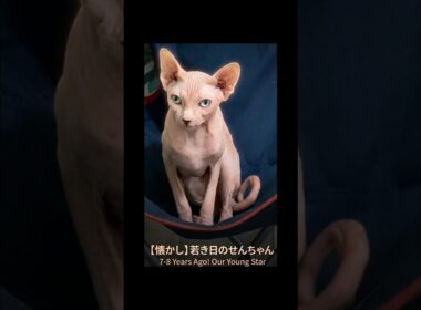 ​【秘蔵】7年前のせんちゃん。今とは違う（？）若かりし頃の姿