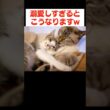 子猫を溺愛しすぎた結果…