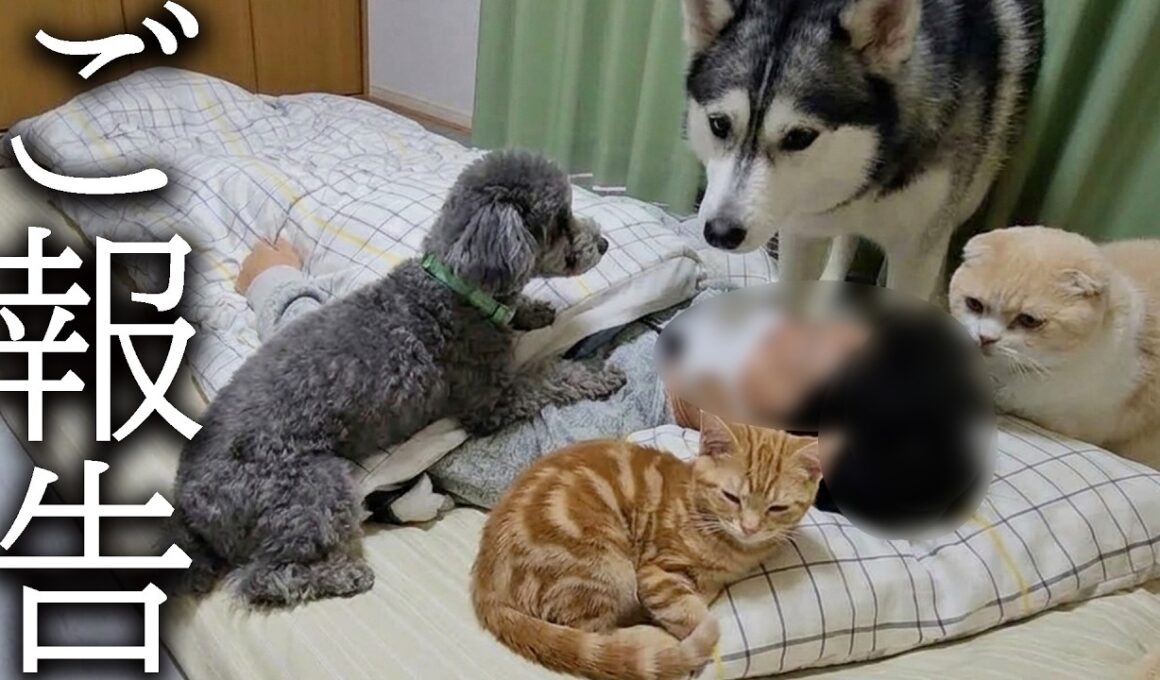 怪我の状態についてご報告いたします...