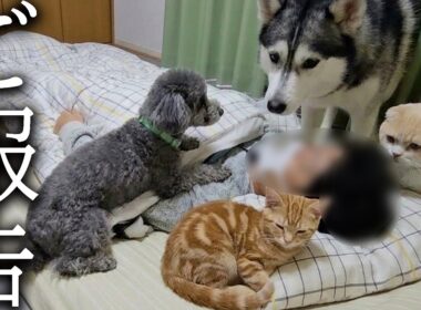 怪我の状態についてご報告いたします...